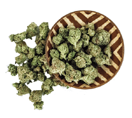 A (very brief) Cannabis Glossary