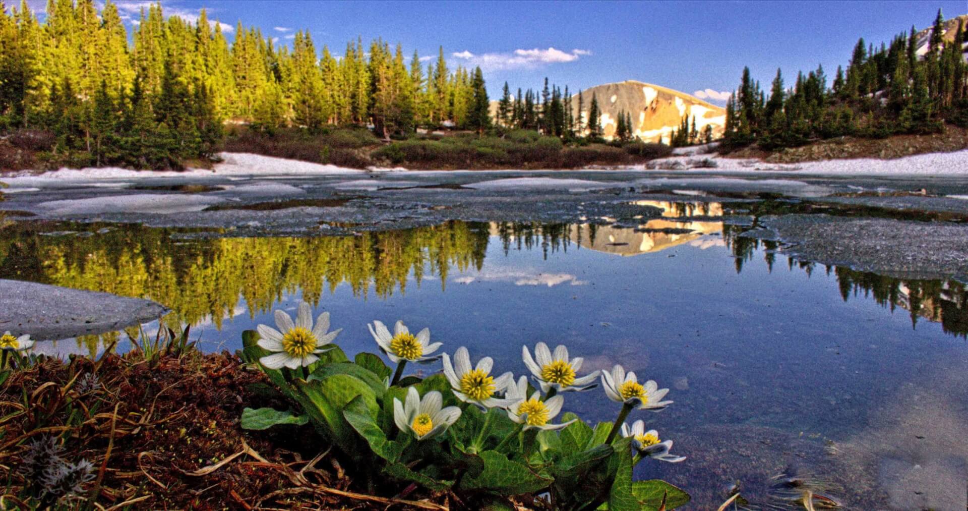 Hiking Colorado’s Alpine Lakes