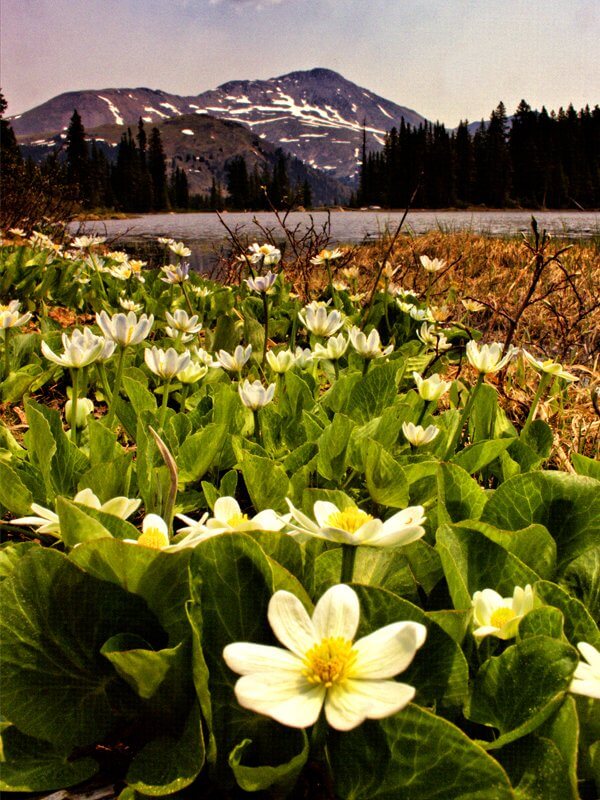 The Unsung Heroes of Colorado Trails