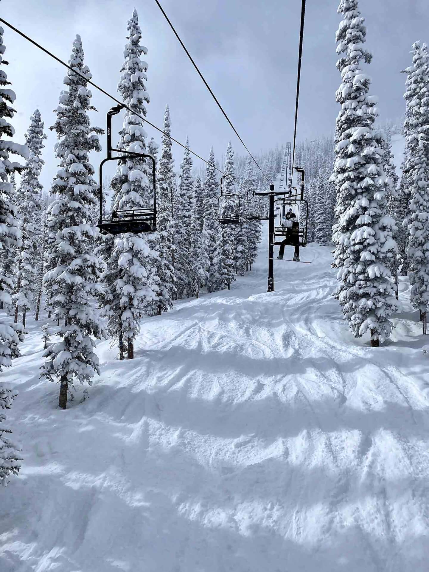 Like Father, Like Son