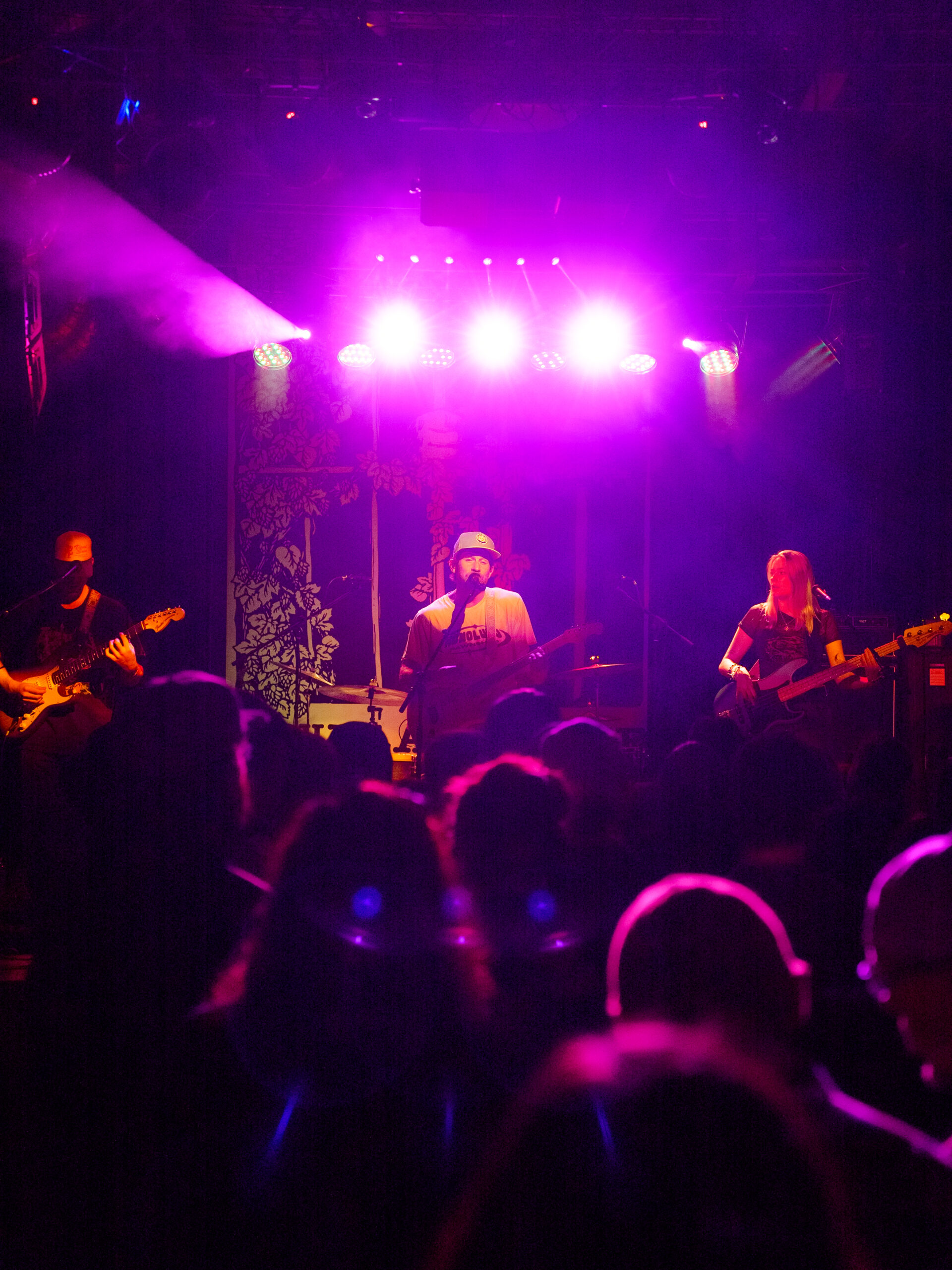 Music Lovers Sing Praises for Live Entertainment