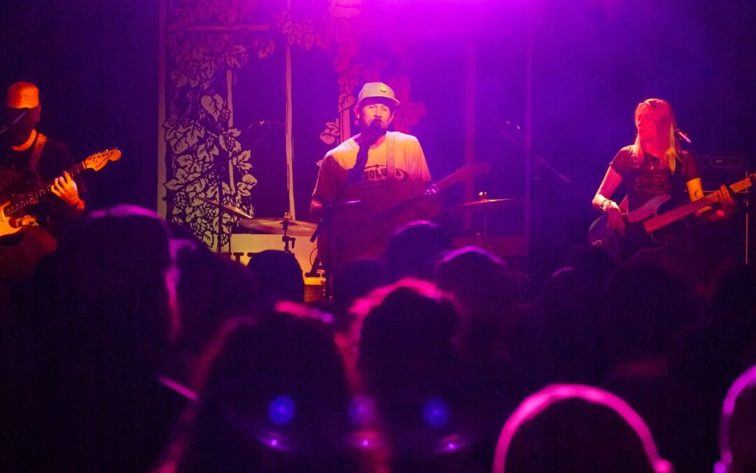 Music Lovers Sing Praises for Live Entertainment