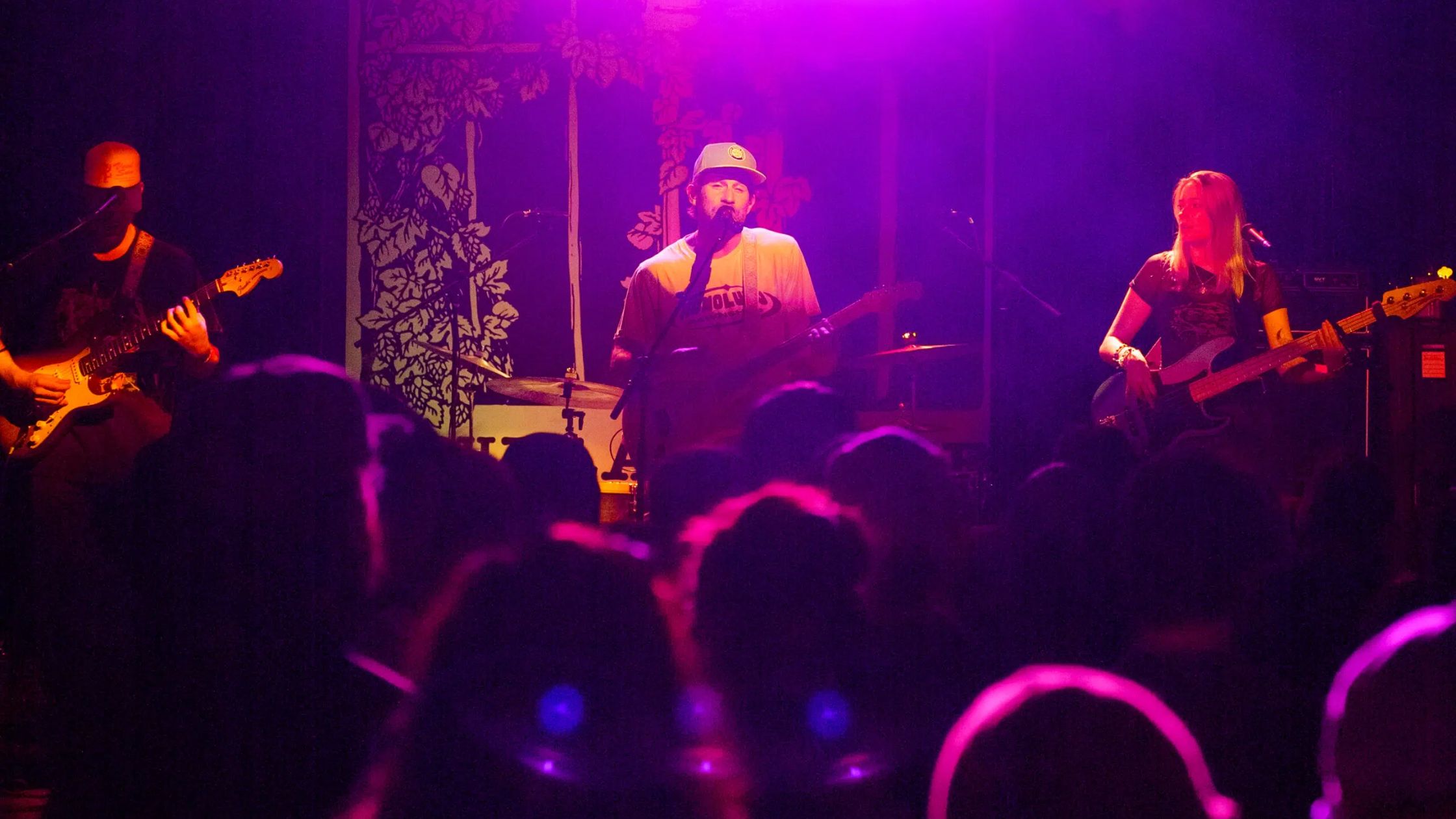 Music Lovers Sing Praises for Live Entertainment