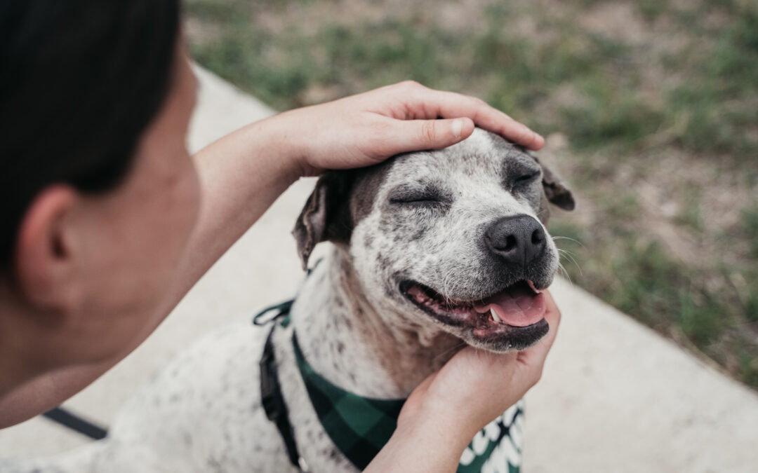Humanity Begins at the End of a Leash