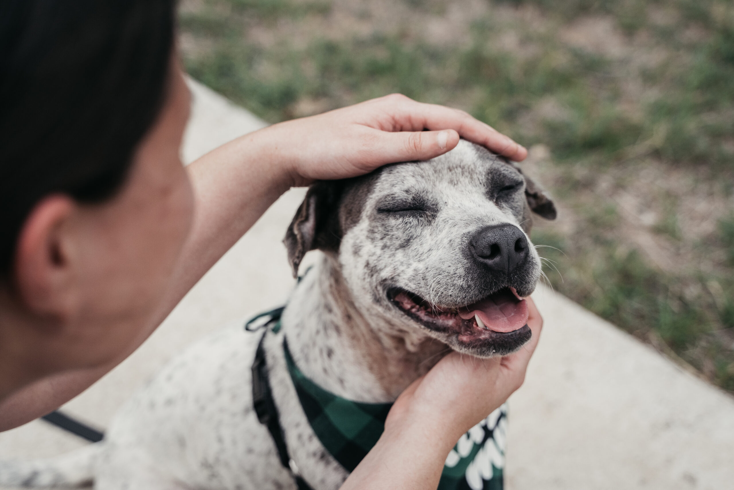 Humanity Begins at the End of a leash