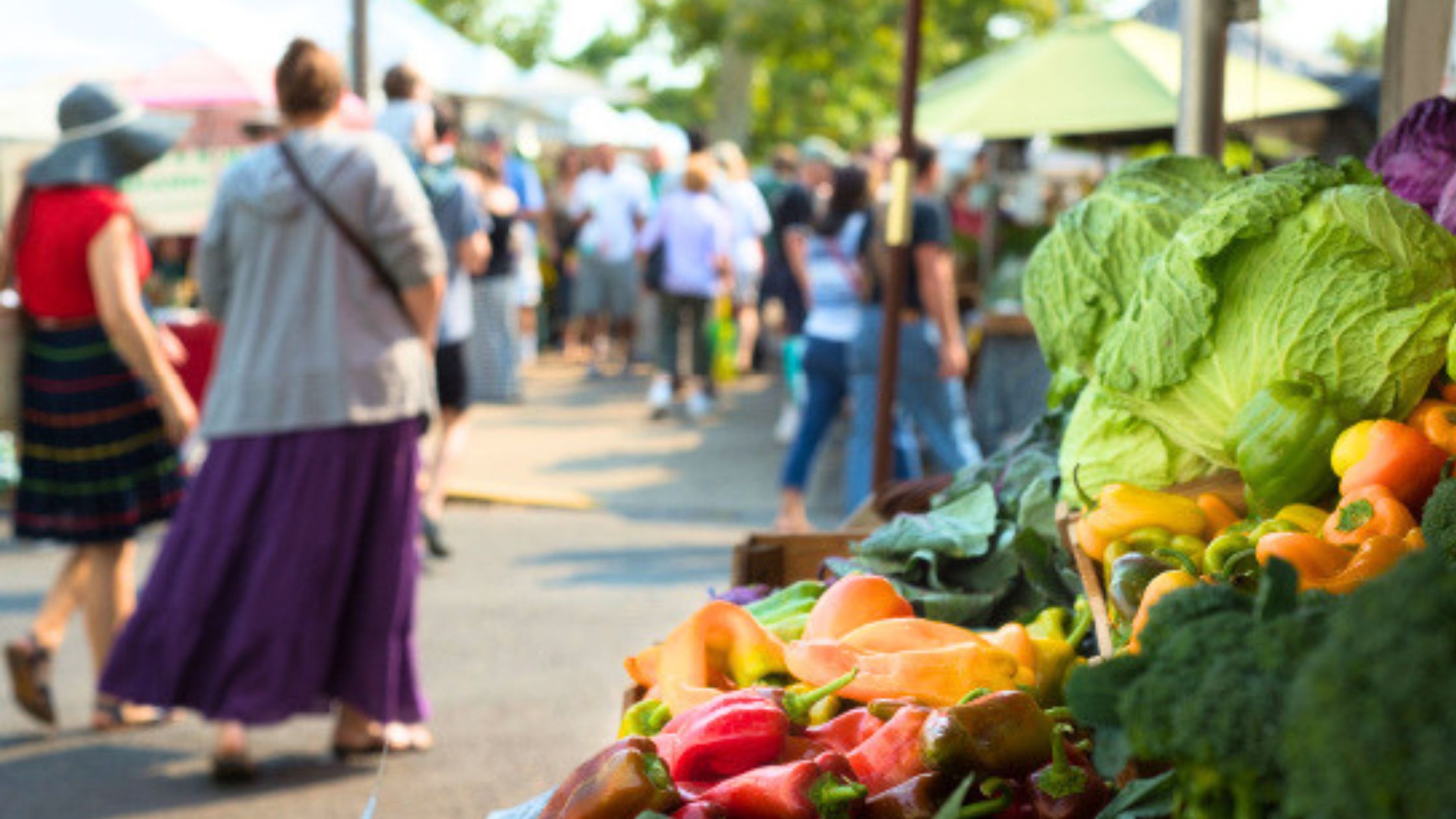 Colorado Farmers market