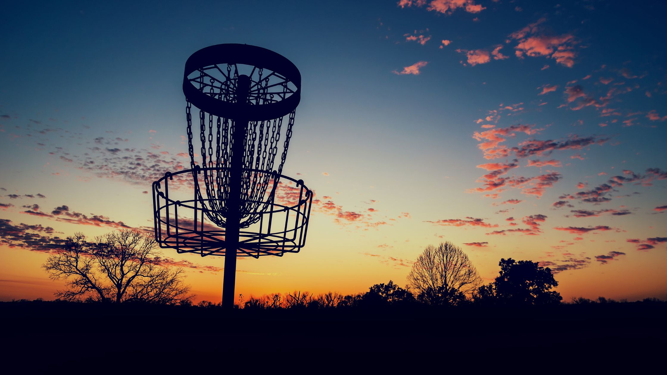Historic City Park Disc Golf Course to Host National Amateur Tour Event