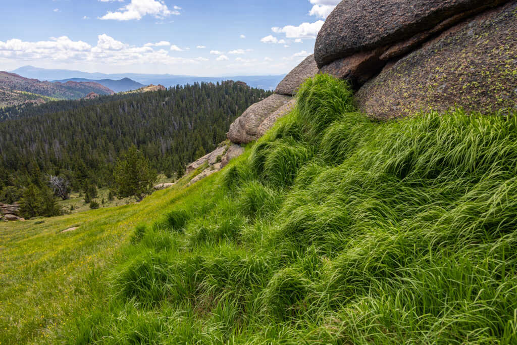 Finding Lost Creek - Rolling Green Hills