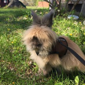 b2794e58-2558-42d0-bdfd-bdd532514983