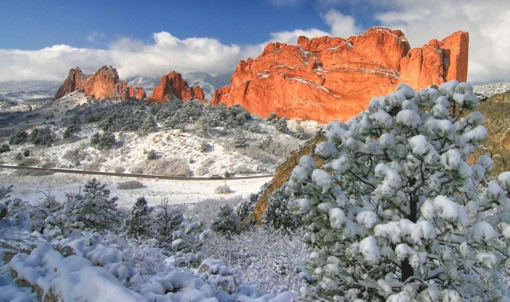 bob-falcone-gardengodseaster_029bf