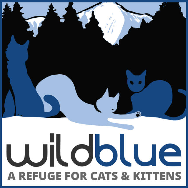 Adoption Fair with Wild Blue Cats!