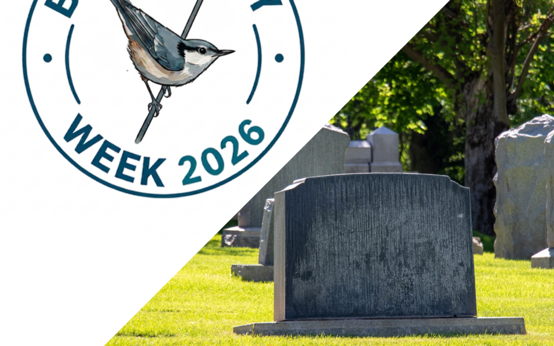 Birding by Car at Evergreen Cemetery