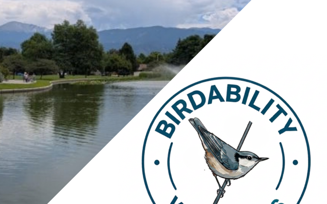 Nancy Lewis Park Bird Walk & Birding Sit