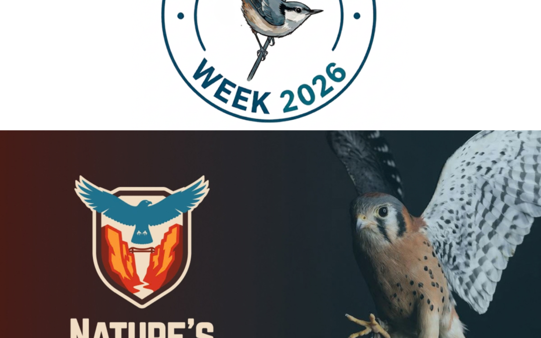 Birdability Week Talon Talk